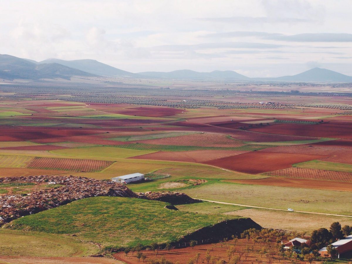 A patchwork of green and brown fields seen on a Spain road trip.