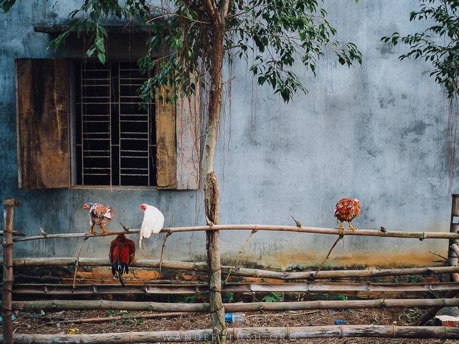 Dong Bai Village, a Vietnamese village near Hanoi, Vietnam.
