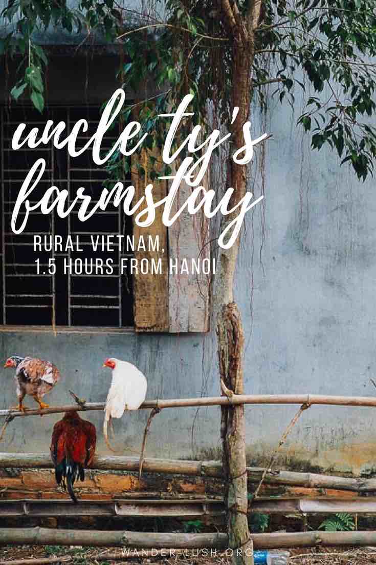 Looking for a homestay in Hanoi, Vietnam? Uncle Ty's Farmstay, located just outside Hanoi in Hoa Binh Province, is the perfect place to escape the city for a night or two. Here's everything you need to know to plan your visit. | © Emily Lush 2017