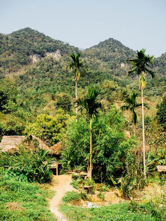 Palm trees and bamboo huts in Pu Luong, Vietnam.