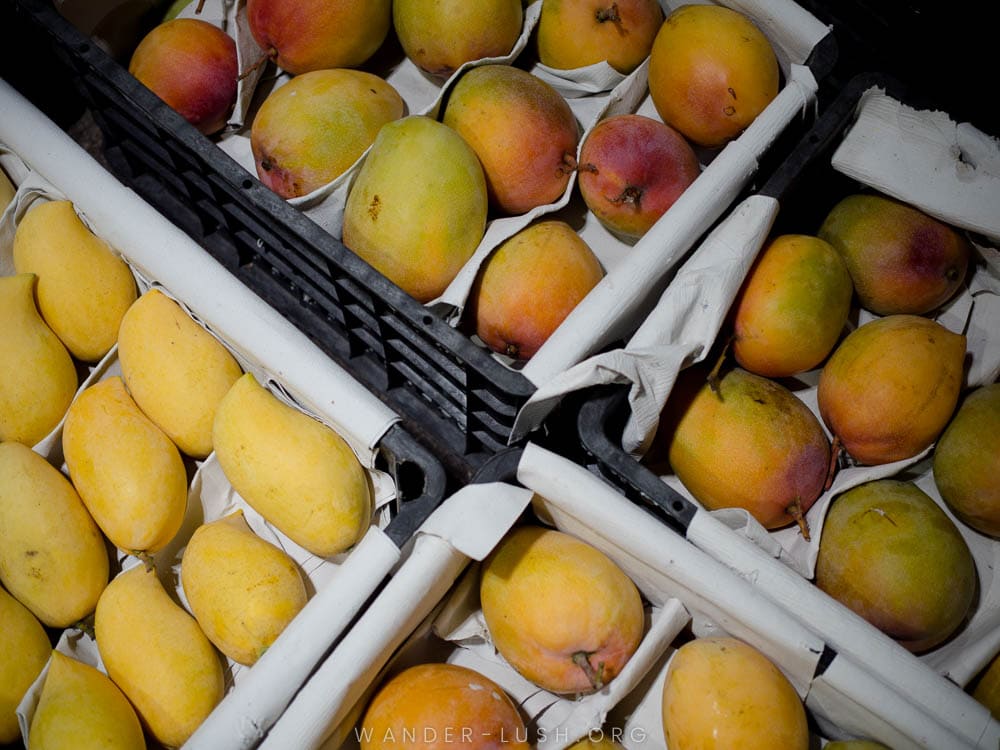 A tray of mangoes at a market in Hanoi.