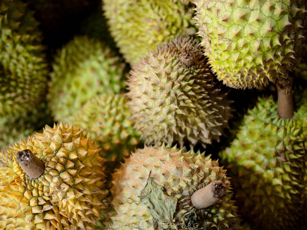 Durian fruit at a local market in Hanoi, Vietnam.