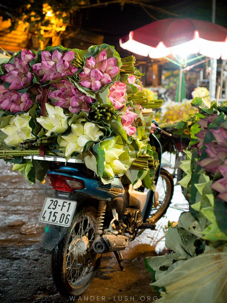Lotus flowers loaded on the back of a motorbike at the Quang An flower market in Hanoi, Vietnam.