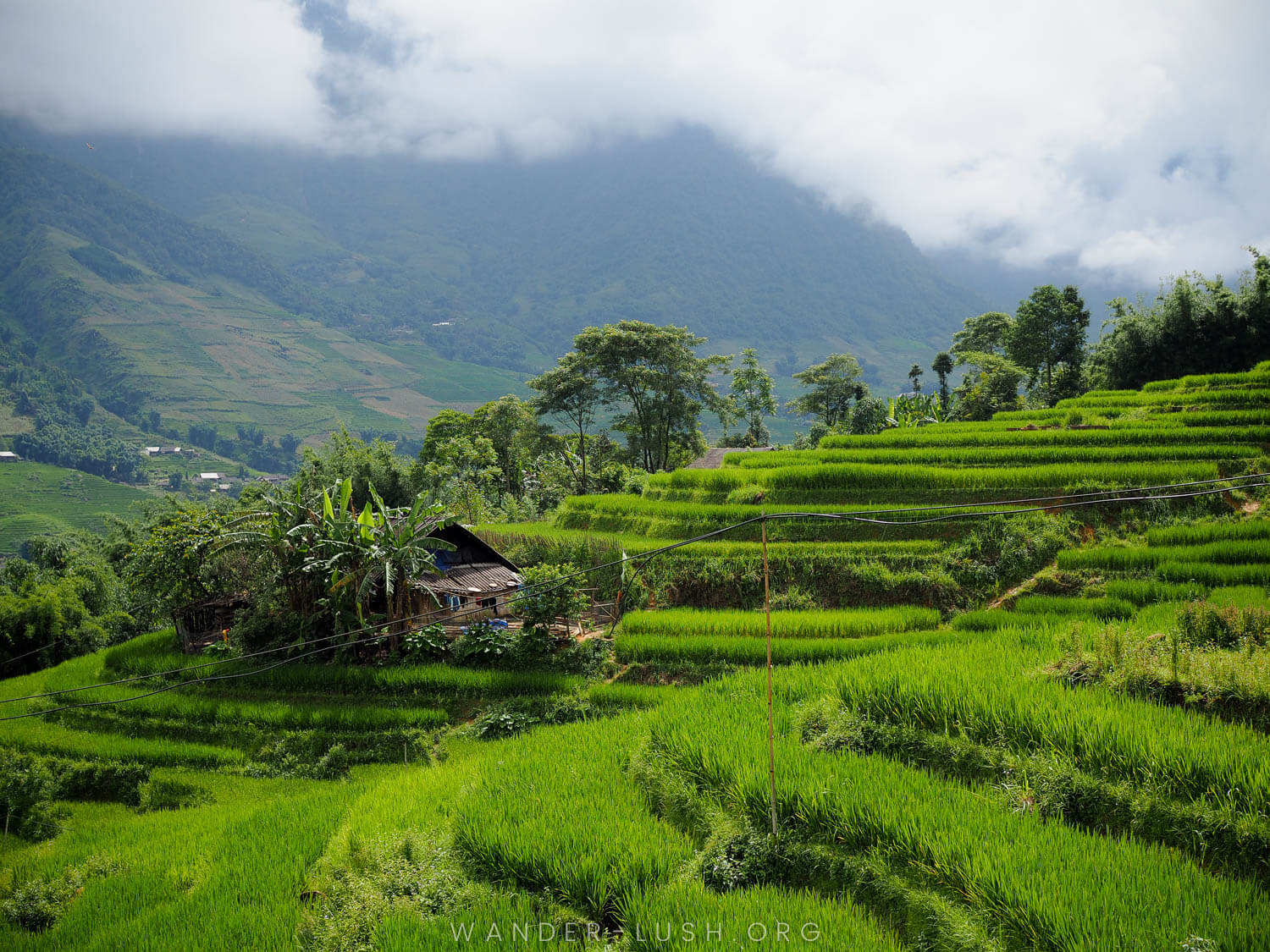 Looking to experience an authentic Hmong homestay in Sapa, Vietnam? Indigo Snail Boutique Hmong Homestay in Ta Van village is a wonderful getaway from Sapa town. Featuring boutique accommodation, trekking, textiles, and home-cooked meals.