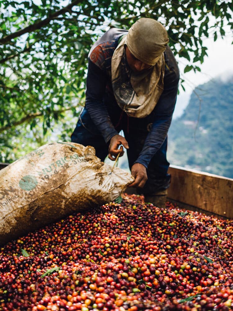 Our journey from Medellin to Jardin with LandVenture Travel was one of the highlights of our time in Colombia. Here's what a coffee tour Colombia entails.