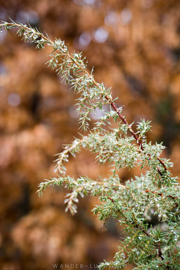 Fall foliage in Bosnia and Herzegovina.