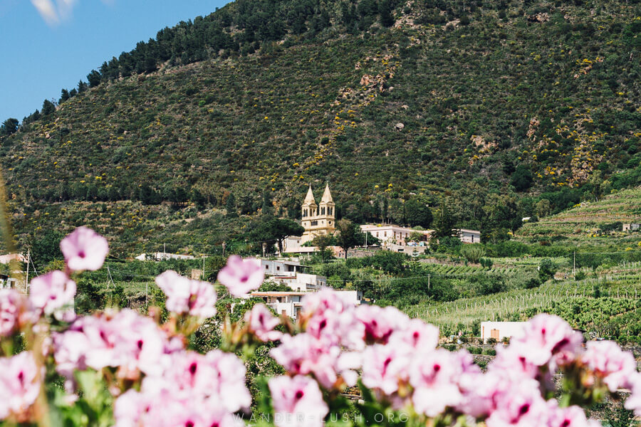 A church at the bottom of a mountain with pink flowers in the foreground.