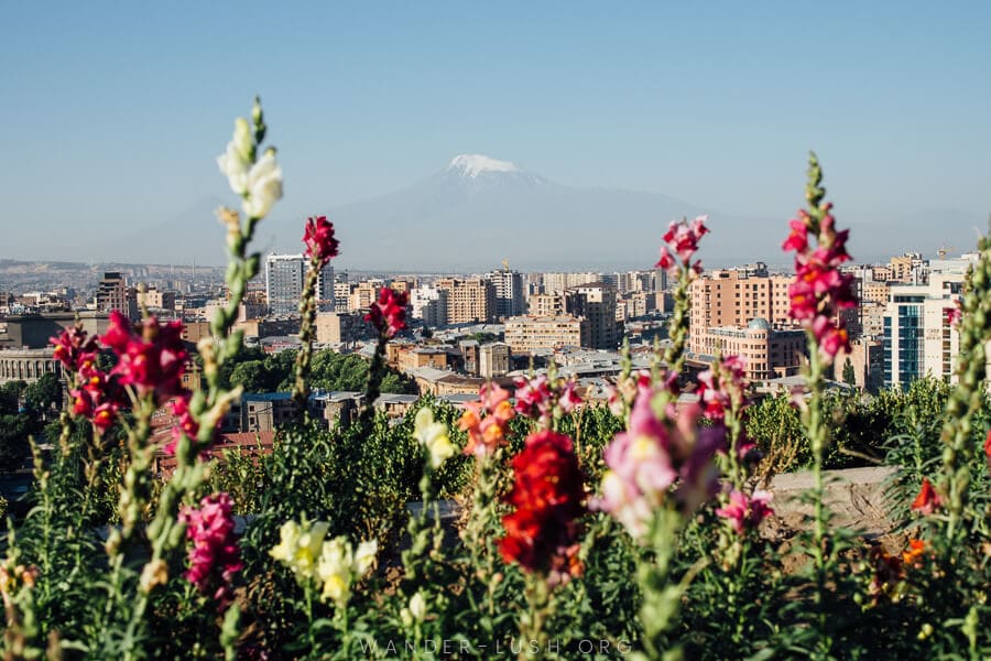 Colourful flowers in front of a city landscape with a snow-capped mountain in the backdrop.