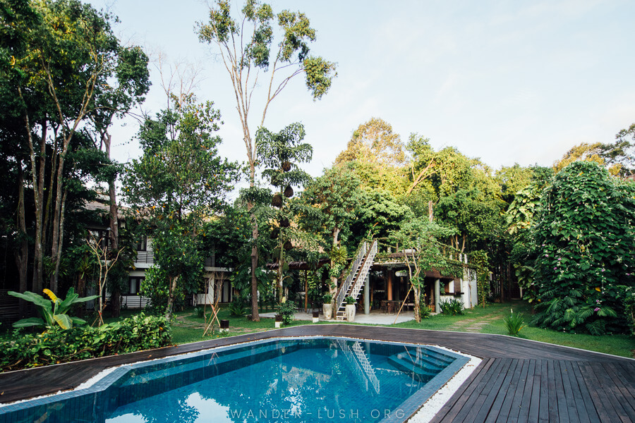 A swimming pool surrounded by trees and a dark-coloured wooden deck.