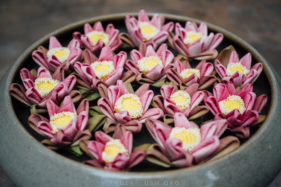A grey bowl filled with pink and yellow lotus buds.