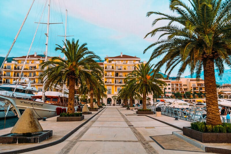 Palm trees line the marina in Tivat, Montenegro.