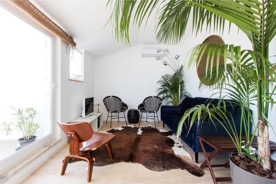 A modern apartment in Lisbon with large window, leafy indoor plants, and a cowhide on the floor.
