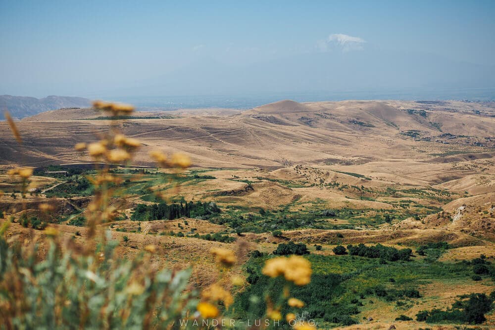 The Armenian countryside, with yellow wildflowers and Mount Ararat in the distance.