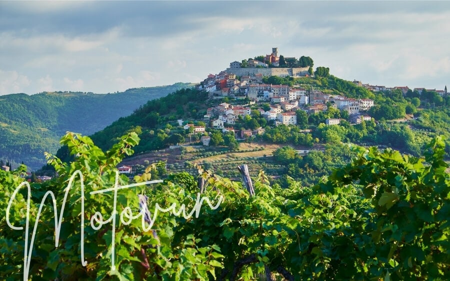 Vine leaves frame the beautiful town of Motovun, perched atop a hill in Croatian Istria.