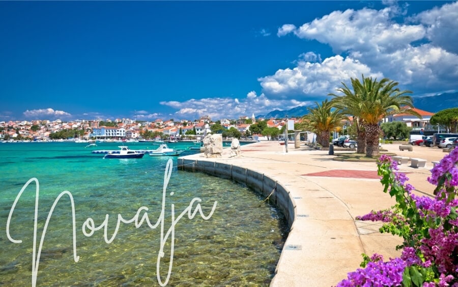 Palm trees line the promenade at Novalja, Croatia.