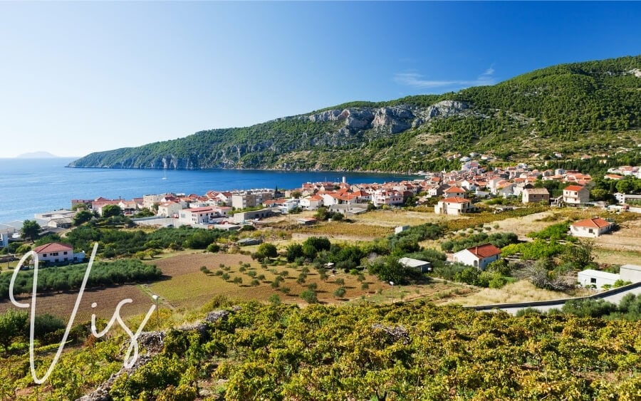 Houses and agricultural plots on Vis island in Croatia.