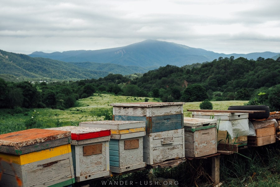 Coloured bee hives stacked on a wooden platform against a backdrop of mountains at Georgia's Gombori Pass.