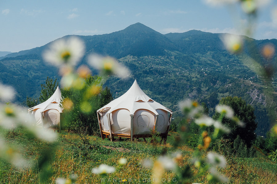 A white Lotus Belle tent framed by white daisies in the mountains of Upper Adjara in Georgia.