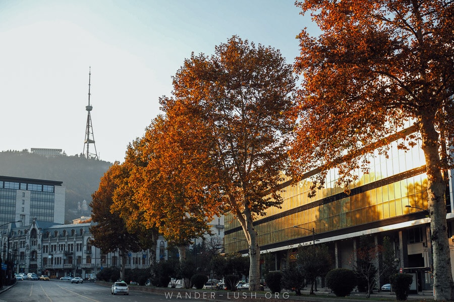 Fall trees reflect on the side of a gold coloured building in Tbilisi, Georgia.