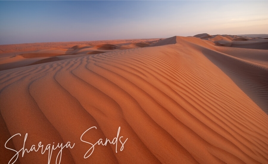 Rippled dunes in Oman's Sharquiya Sands, a beautiful desert destination.