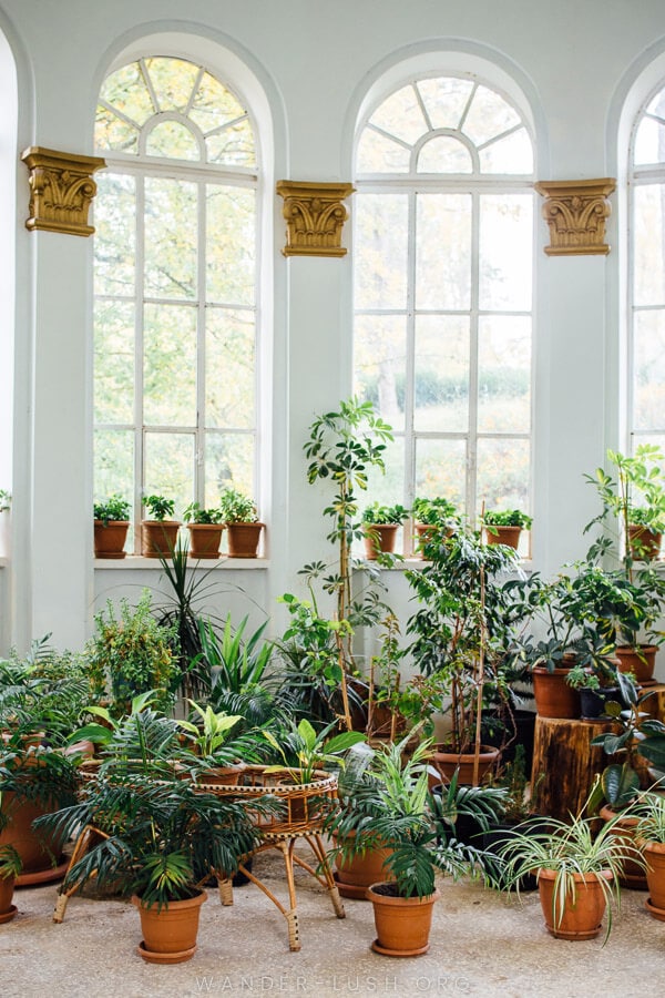 Plants in the greenhouse corridor at Tskaltubo Spa Resort.