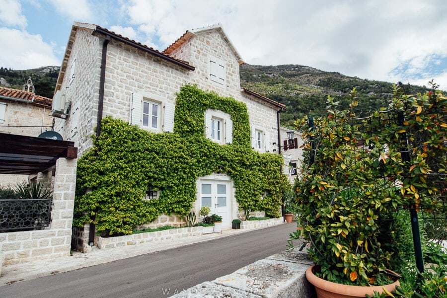 An ivy covered palace in Perast.