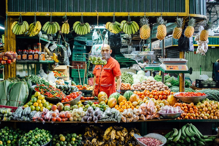 Best Fruit Markets in Medellin: 3 Vibrant Marketplaces You Can’t Miss