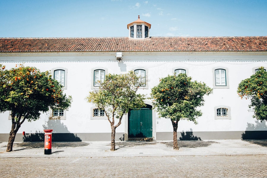 Flowering trees in front of a historic facade in Faro, one of the best cities in Portugal to visit.