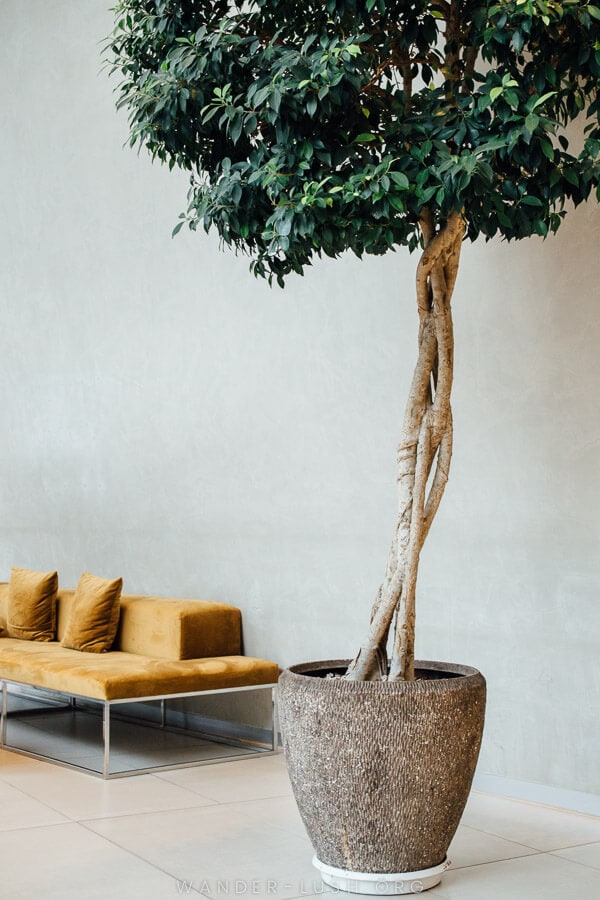 A decorative tree in the lobby of the 5-star Tbilisi hotel Radisson Blu Iveria.