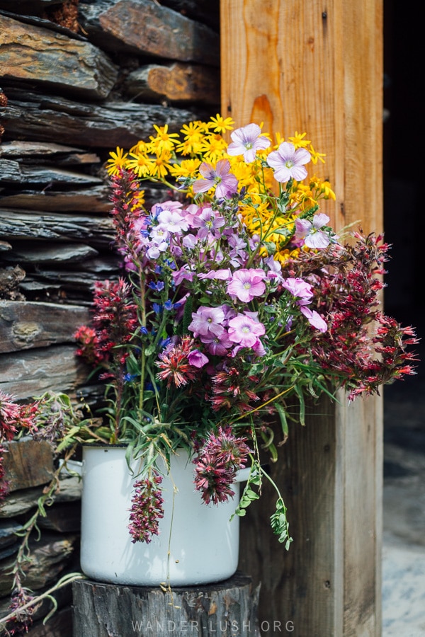 A bunch of colourful wildflowers in a pot at a guesthouse in Tusheti Georgia.