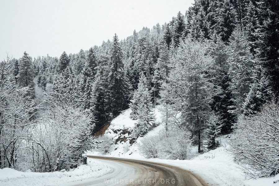 Snow covered trees surround a winding mountain road from Tbilisi to Bakuriani ski resort in Georgia.