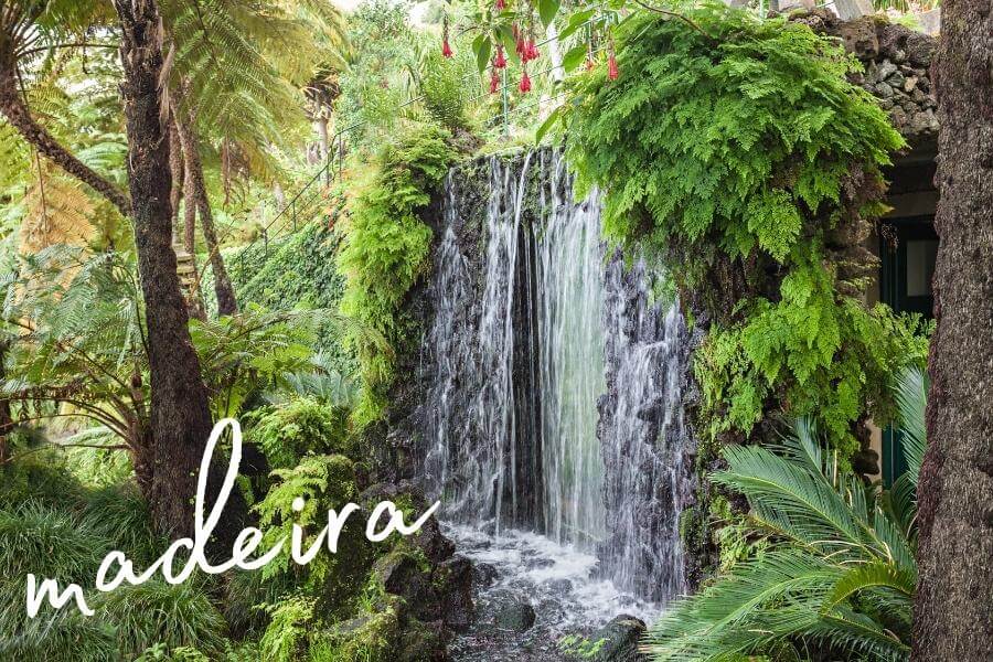 A cascading waterfall on Madeira island in Portugal.