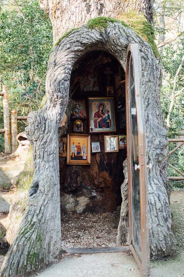 Shrine in a Tree, a tiny church inside a hollow tree trunk in Kutaisi Botanical Garden.