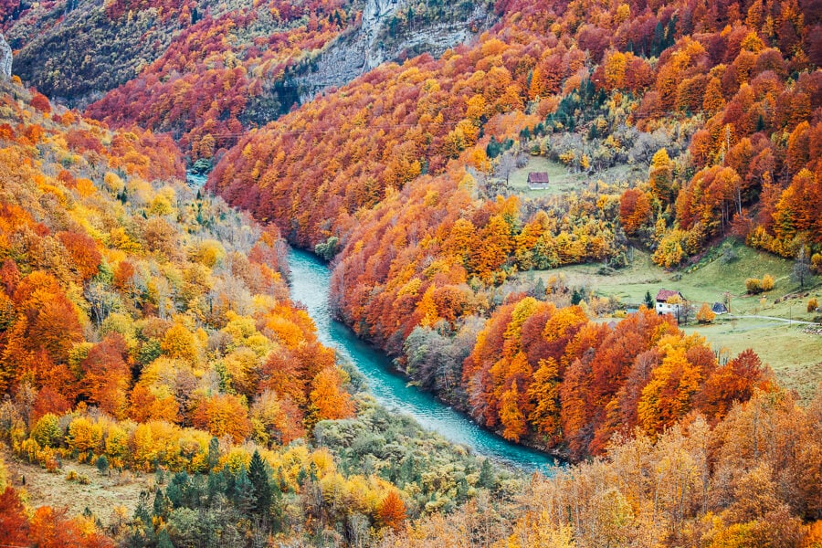 Autumn foliage surrounds a blue river in Montenegro's Piva River Canyon.
