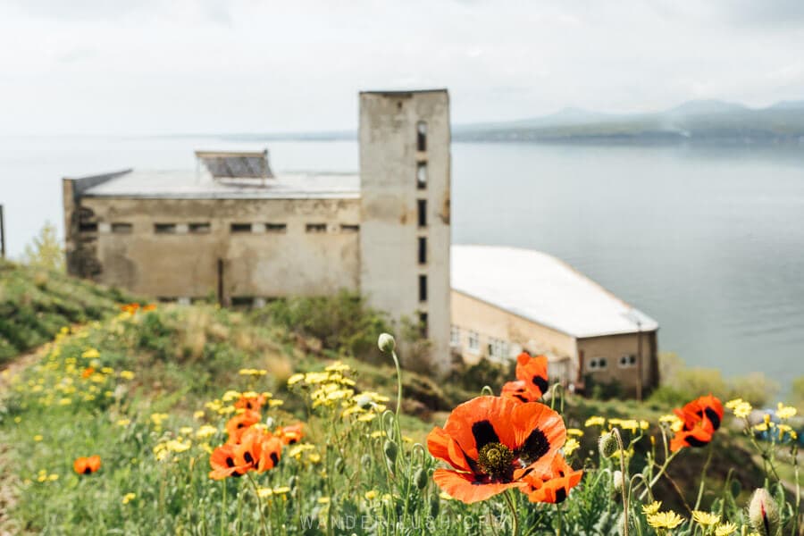 Poppy flowers frame the Sevan Writers House, a Soviet-era building on the edge of Lake Sevan in Armenia.