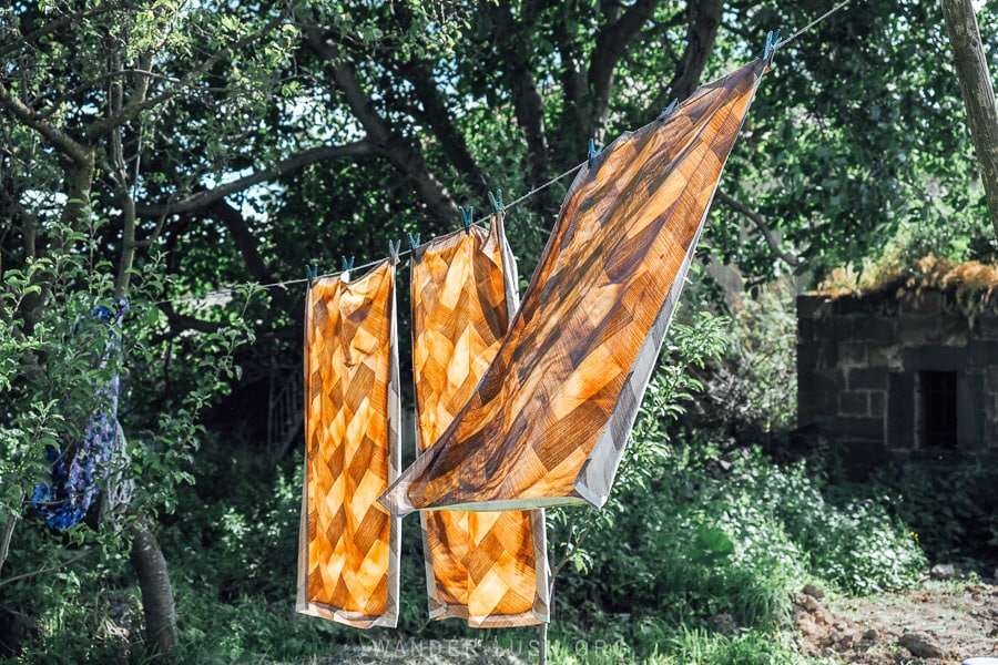 Three sheet of plum tklapi fruit leather drying in the sun in a garden in Saro, Georgia.