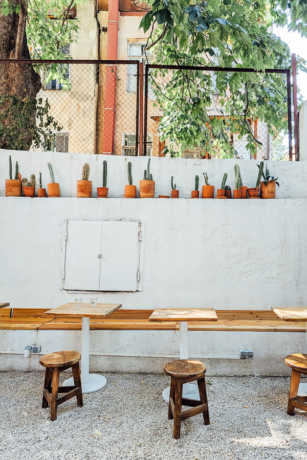 A courtyard cafe and coffee roastery in Tbilisi, with bench seating and cactus plants.