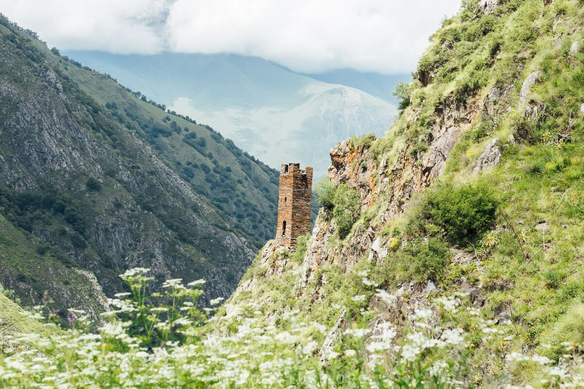 Torghvas Tower, a lone stone tower hanging above a river valley in Mutso Khevsureti in the Greater Caucasus mountains, surrounded by white wildflowers.