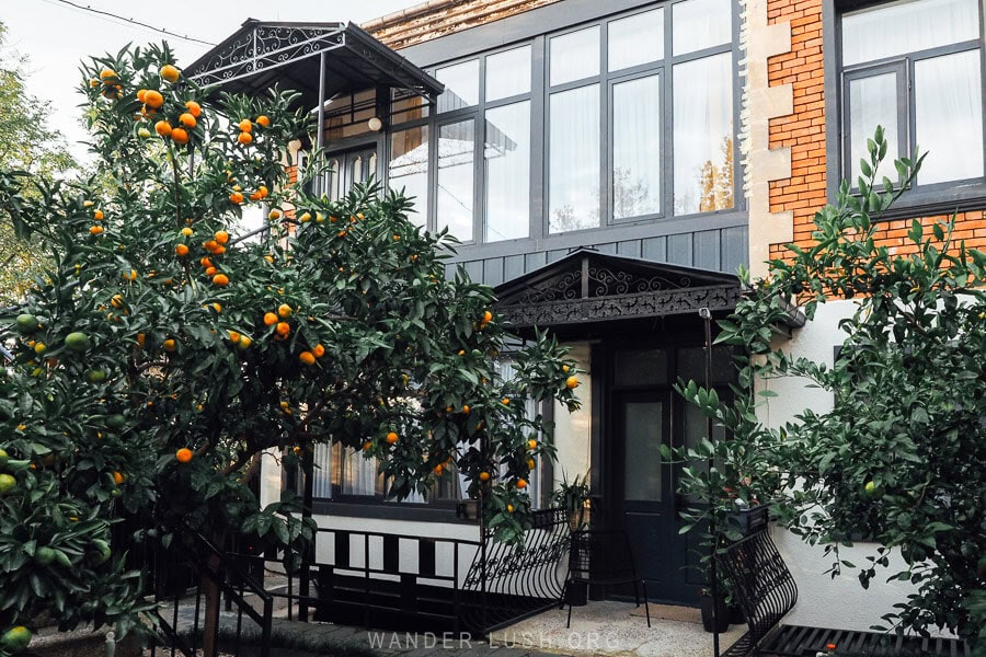 A beautiful heritage house in Kutaisi, Georgia, with restored windows, orange bricks, and mandarin trees in the garden.