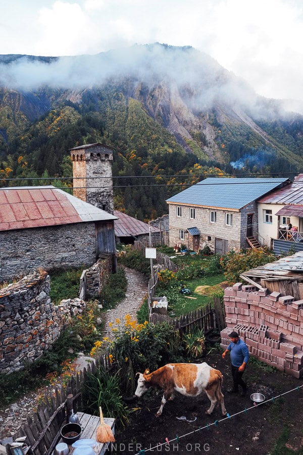 A village scene in Svaneti, with a man milking his cow and mist rising above stone defensive towers.