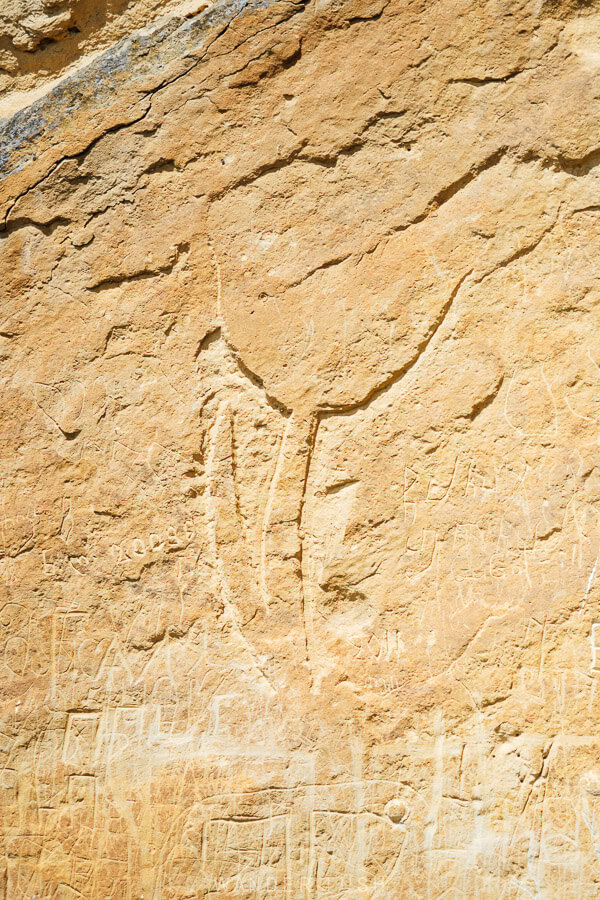 A carving of a tulip flower on the rock face of an ancient burial tomb outside Kartli, Georgia.