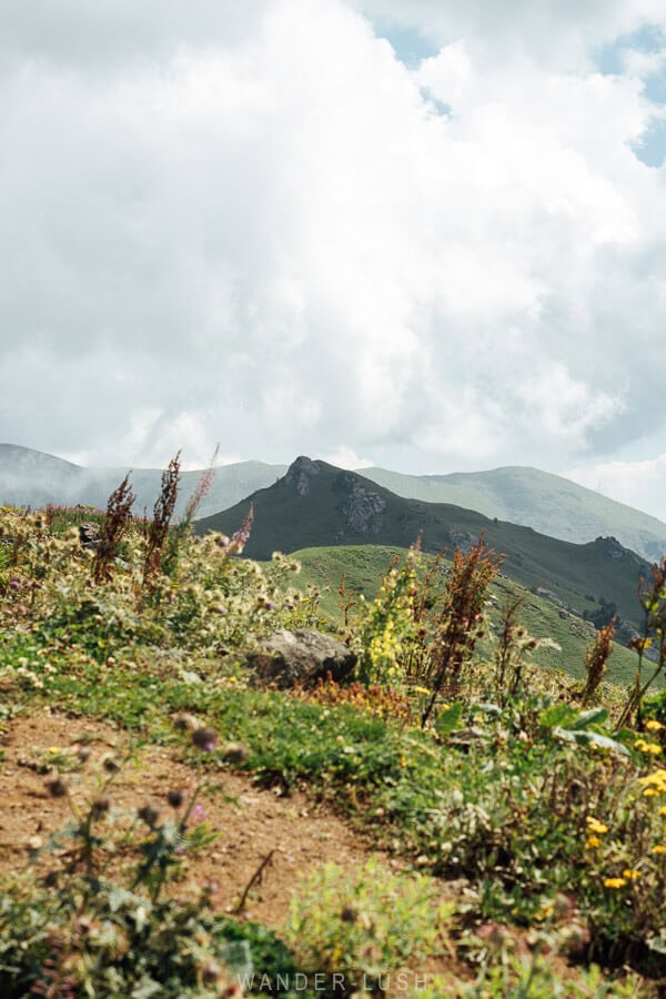 A volcanic landscape with wildflowers in the foreground at the Zekari Pass near Kutaisi.