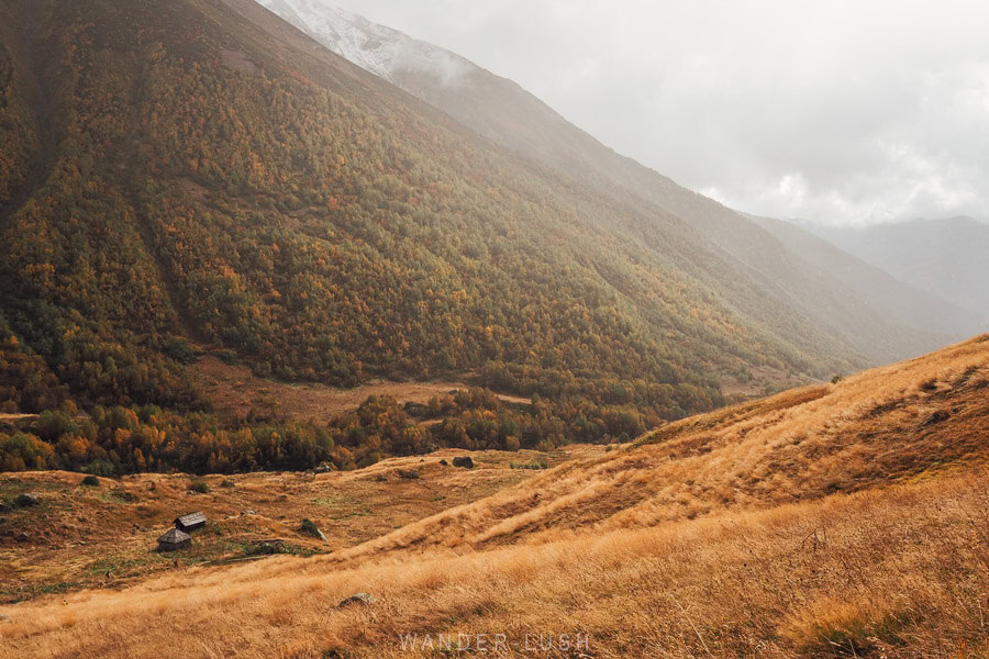 A golden field with small houses and misty mountains rising above a river valley in Svaneti in autumn.